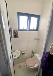 Parc Vista (D22), Condominium #462785361